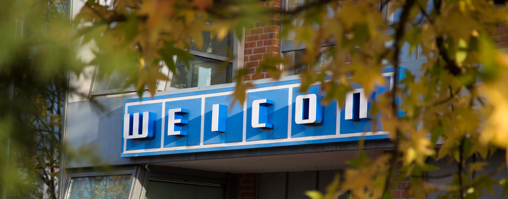 Leitlinien Weicon Logo an einem Gebäude, das durch einen Baum mit Herbstblättern verdeckt wird