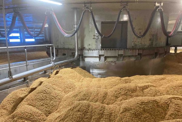 Intérieur d'une malterie industrielle montrant d'importants monceaux de grains de malt stockés dans une cuve sous une structure métallique.