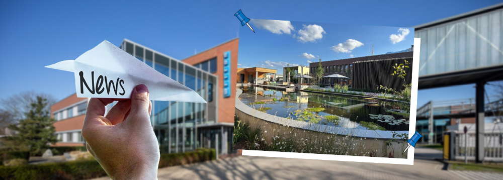 Neubau 2023 Collage von Weicon Gebäude im Sommer, ein Hand hat einen Papierflieger in der hat auf dem "News" steht, daneben ist ein Bild mit dem Schwimmteich von Weicon