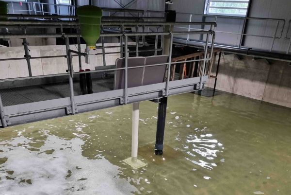 Passerelle métallique surplombant un bassin de traitement d'eau usée avec de la mousse à la surface dans une installation industrielle.